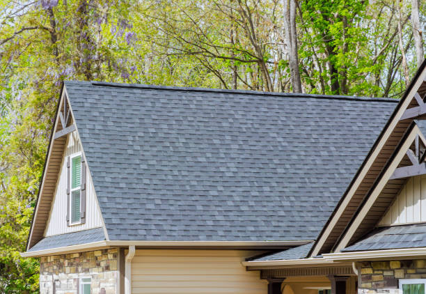 Best Sheet Metal Roofing  in Palm Coast, FL